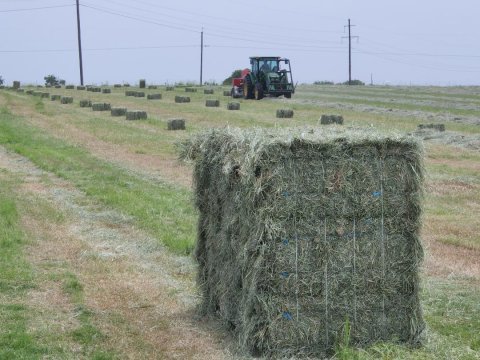 The Bale Baron Bundler makes short work of hauling hay.