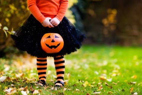 Trunk or treat, games and other Halloween festivities will be at the Carl and Mary Welhausen Library  Friday, Oct. 28. Courtesy Photo.