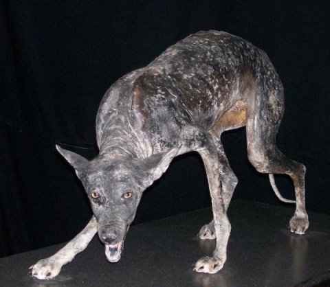 Image courtesy of Wikipedia