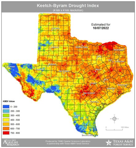 Statewide Drought Information
