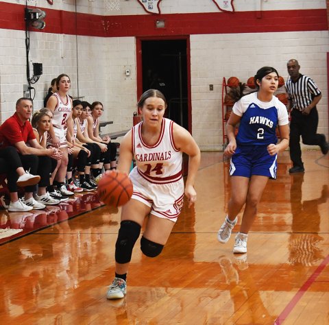 Avery Pesek moves the ball downcourt against the Lady Hawks. Photo by Mark Lube.