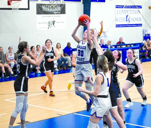 Jules Janak pulls down a rebound in the second quarter of the district game against Bulverde Bracken Christian School here Thursday. Jules had 7 rebounds and 3 steals in the win. Chuck Grafe/Tribune-Herald