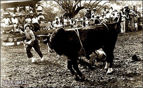McBeth Rodeo – photo by Murray Montgomery