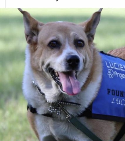 Lucie was quite the character to those of you who had the honor of knowing her.
