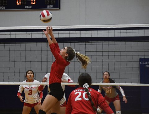Lady Cardinal junior Dallyn Pesek sets a ball during St. Paul’s Rice Tournament match against Palacios on Thursday afternoon. Photo by Mark Lube.