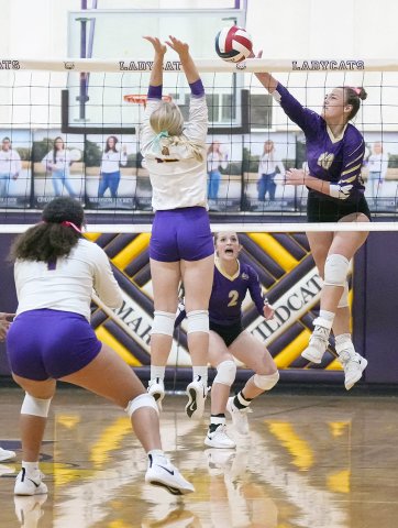 Chelsea Whiddon slams the ball home for a point in the second set of Shiner’s match at Weimar Oct. 17. Photo courtesy of Howard Esse.