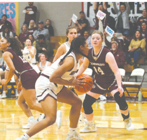 Macy Herring protects the basketball after her 1,000th rebound and teammate Kenedy Wood (background) is excited. Chuck Grafe/Tribune-Herald