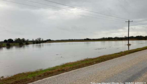 No, we weren’t out cruising the bay last week, despite what it looks like. That’s our story, at least, and it wouldn’t take much to get stuck right now. In point of fact, this land along FM 2314 is normally home to a hayfield rather than the roadside waterfront it became Monday, when more than 9 inches of rain fell over the weekend. In so doing, it set the bar for the rainiest January on record, NWS observer Larry Rothbauer reported, with 10.90 inches recorded for the month. 