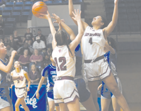 Alaina Halata (12) and Macy Herring (4) go up for a rebound in the third quarter. Chuck Grafe/Tribune-Herald