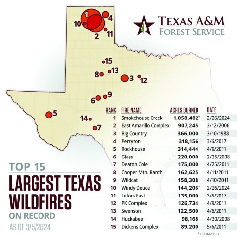 Image courtesy of Texas A&M Forest Service