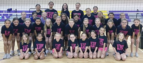 Nearly three dozen young volleyball players attended the camp. Photo courtesy of Desiree Nitsch.