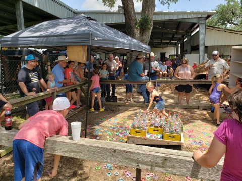 Scenes from the 2021 Moravia Picnic