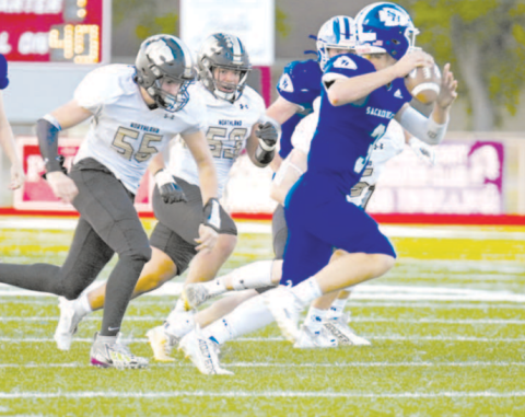 Andrew Steffek returns at quarterback for the Indians. Chuck Grafe/Tribune-Herald