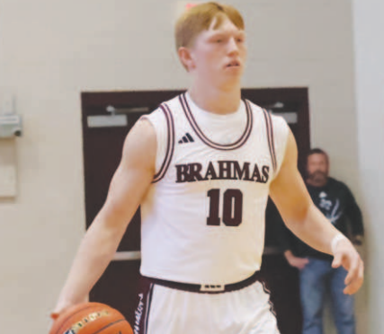 Mycole Pegoda walks the ball up court in the Columbus loss New Year’s Eve. Chuck Grafe/Tribune-Herald