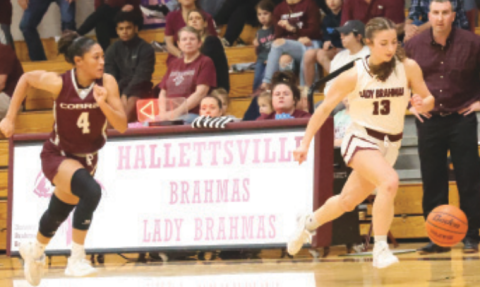 Addison Matula (13) makes a steal with Industrial’s Deziree Evans in pursuit. Chuck Grafe/Tribune-Herald