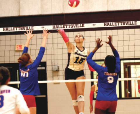 Photo by Chuck Grafe Sophomore middle Christine Felcman has been force on defense.