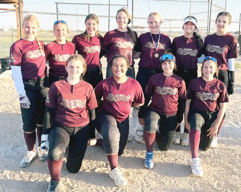 Front row from left are Reese Lyons, Patricia Price, Amara Cuevas  and Andi Mikulencak. Back Row from left are Tenley Wagner, Reese Blaschke, Ally Trojcak, Eastyn Pohler, Charlotte Hairell, Addison Ulcak and Dawn Bishop. Photo courtesy of Michelle Price.