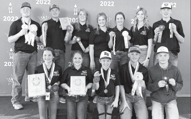 Lavaca County Youth compete in Houston Livestock Show