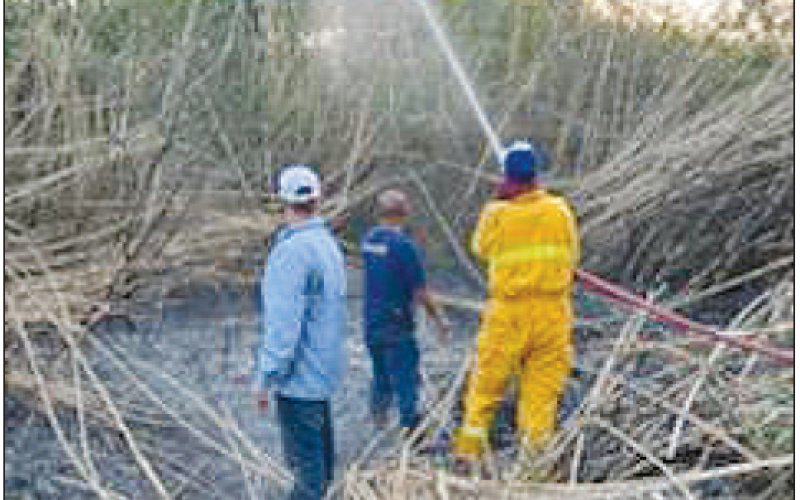 Sweet Home creek bed fire