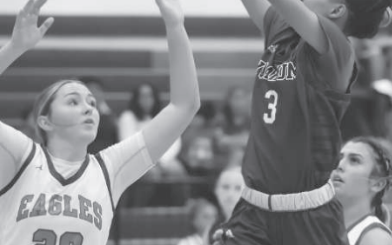 Jayla Hessler (3) attempts a shot at the basket during a recent basketball game. Photo courtesy of Raymond Rosas.