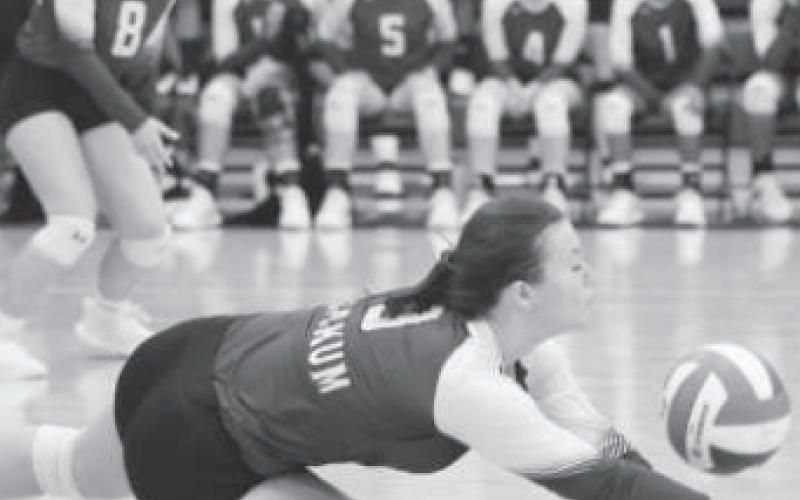 Pictured above is Taylor Velek (9) diving for a ball in a recent volleyball match.
