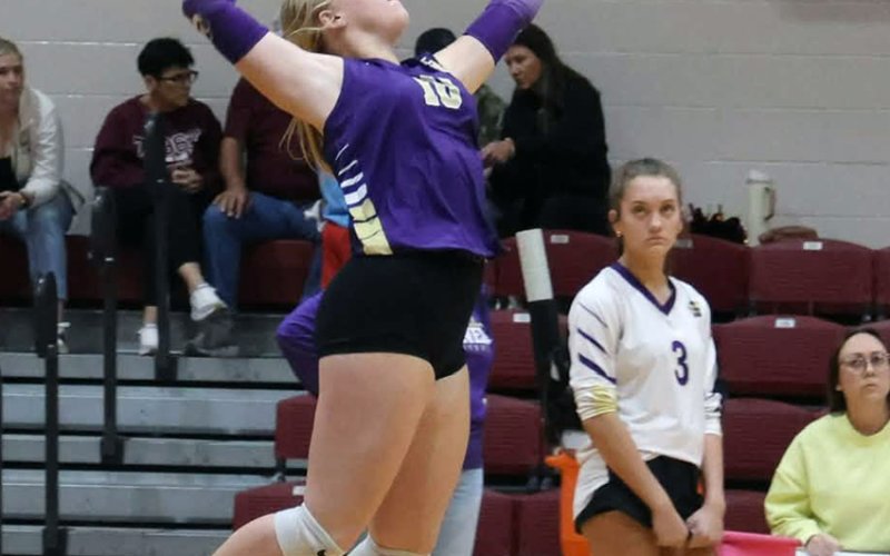Tinsley Vasek serves the ball Friday against Ganado. Photo courtesy of Louann Heinsohn.