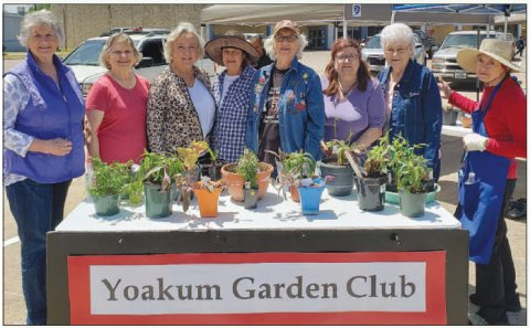 Yoakum Garden Club holds plant sale