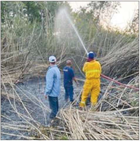 Sweet Home creek bed fire