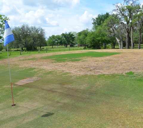 The green on hole seven at the Yoakum Municipal Golf Course is sparse with grass.