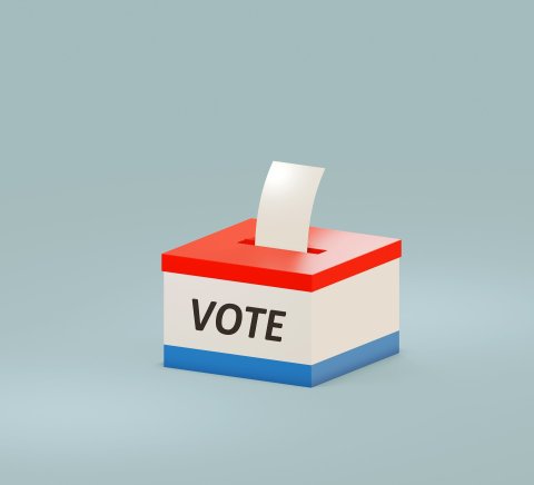 The 2022 Gubernatorial Primary Runoff Elections are Tuesday, May 24, with early voting occurring between May 16 and May 20 in Lavaca and DeWitt Counties. Courtesy Photo.