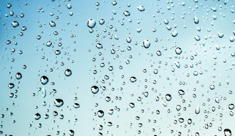 Texas A&M AgriLife Extension Service‘s Healthy Lawns and Healthy Waters Program will host a residential rainwater harvesting and turf management training on Friday, July 8 for Jackson and Lavaca counties.Courtesy photo