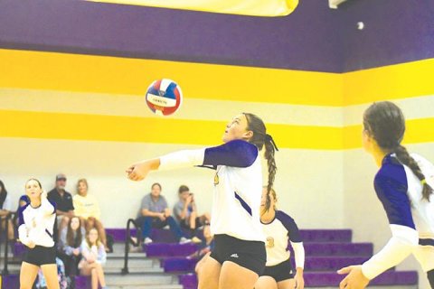 Chelsea Whiddon with dig in Shiner's sweep of Sacred Heart. Photo by Chuck Grafe.