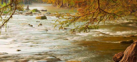 Guadalupe River State Park - Texas Parks and Wildlife Photo