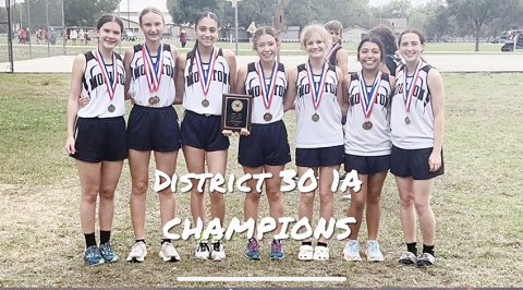 The Moulton Kittens were crowned 30-1A girls champions. Team members (not listed as shown) are Estefania Colchado, Karysn Blahuta, Addisyn Grieve, Abby Tinajero, Marisol Manzano, Addison SImper and Katie Richter. Photo courtesy of Moulton ISD.