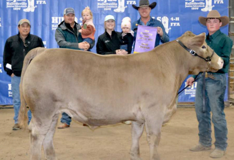 Lane Leopold’s Charolais cross steer was named Grand Champion at the 61st annual Hallettsville Jr. Livestock Show this past weekend. The steer sold for $18,100, which set a new record for steer sales at the show and was purchased by the Grand Champion Steer group. Photo by Clayton Kelley