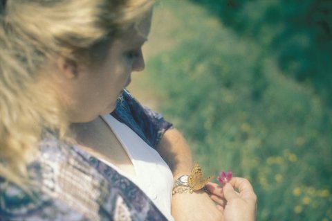 Doris Petrosky
