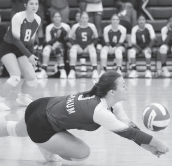  Pictured above is Taylor Velek (9) diving for a ball in a recent volleyball match.  