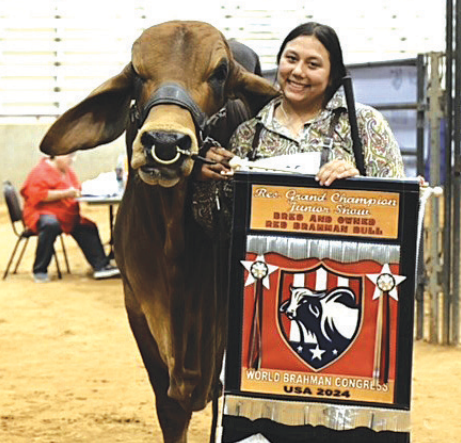 Bailey Petrek shows off her bull that earned the Reserve Grand Champion overall of the bred and owned Red Brahman Bulls at the World Brahman Congress. Photo courtesy of the Brahman Journal
