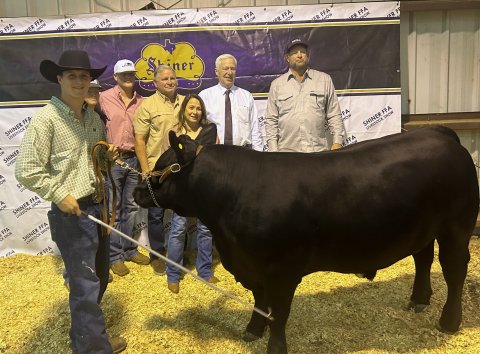 Grand Champion Steer  - Exhibited by Preston Todd